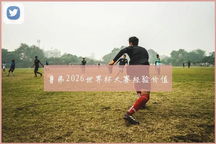 鲁弗2026世界杯大赛经验价值