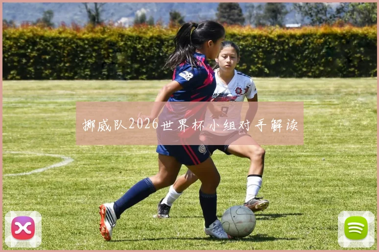 挪威队2026世界杯小组对手解读