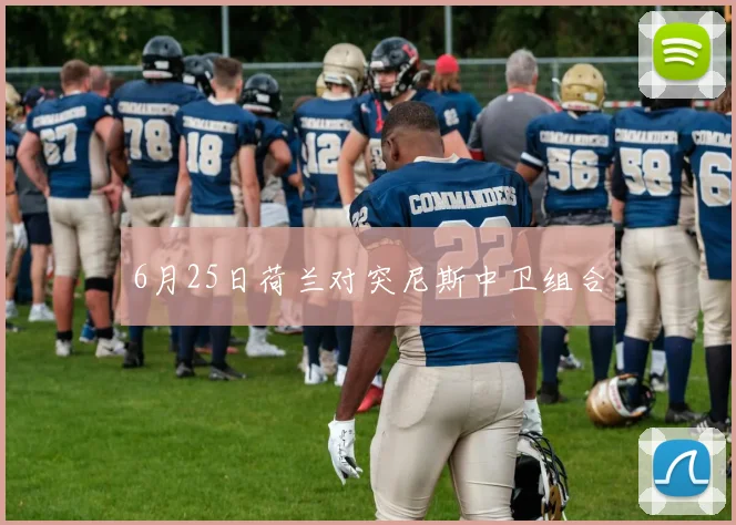 6月25日荷兰对突尼斯中卫组合