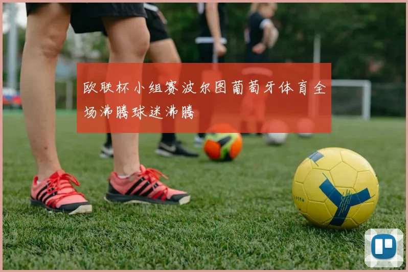 欧联杯小组赛波尔图葡萄牙体育全场沸腾球迷沸腾