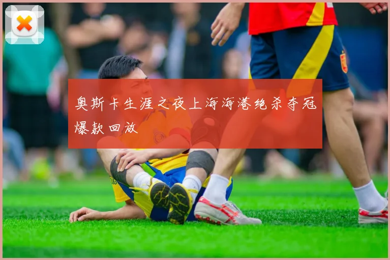 奥斯卡生涯之夜上海海港绝杀夺冠爆款回放