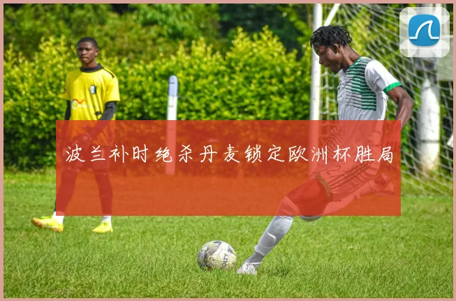波兰补时绝杀丹麦锁定欧洲杯胜局