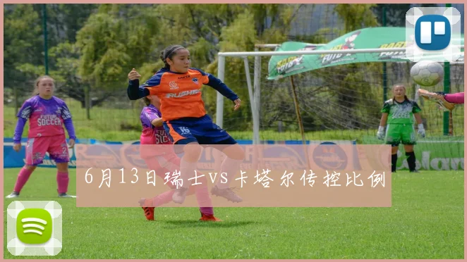 6月13日瑞士vs卡塔尔传控比例